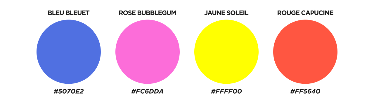 Palette de couleur du projet