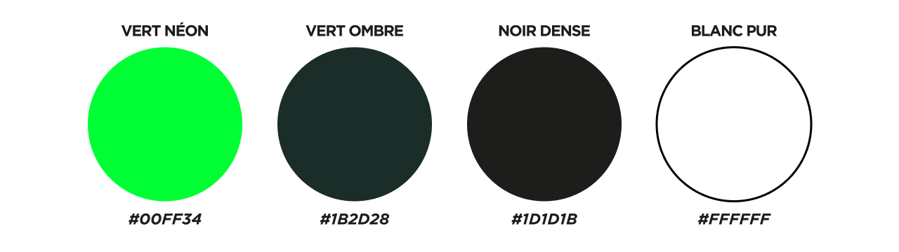 Palette de couleur du projet