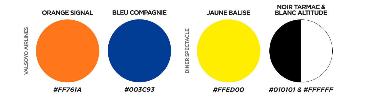 Palette de couleur du projet